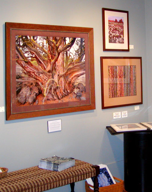 i-febgallery9 Bruce Jackson fine art photography