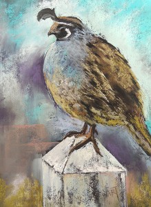 MS-little fellow-quail-wb
