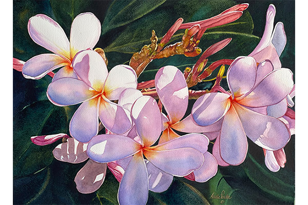 Oahu Plumeria — Annie Ferder
