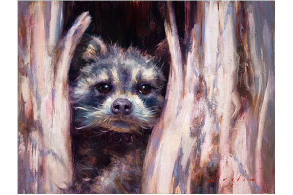 Think Wild Baby Raccoon — Katherine Taylor