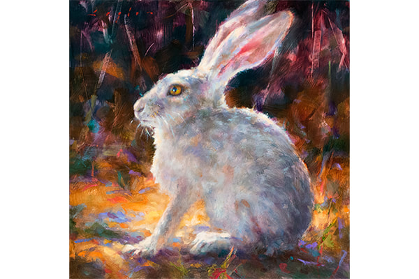 Jack Rabbit — Katherine Taylor