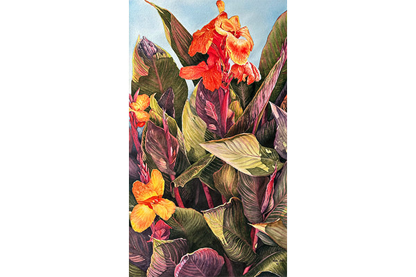 Variegated Giant Canna Lilies — Annie Ferder