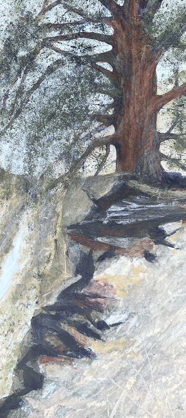 "Reaching for Water" is a strong vertical painting of juniper and its roots by Anne Gibson.