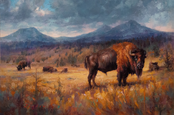 Buffalo on a ranch in late afternoon lighting by Katherine Taylor