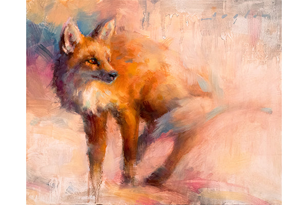 Studying Red Fox — Katherine Taylor