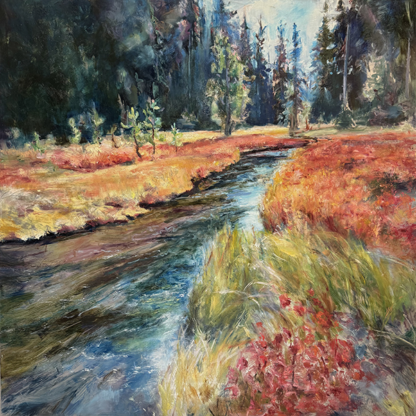 A mountain stream flowing through huckleberry bushes and deep green alpine forest.