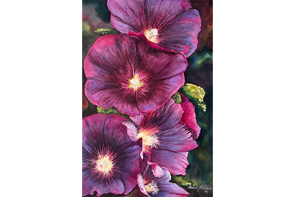 Alcoa Rosea, Black Hollyhocks — Annie Ferder