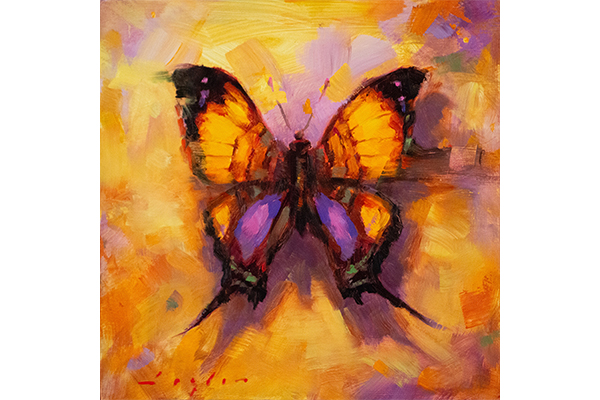 Purple Gold Daggerwing — Katherine Taylor