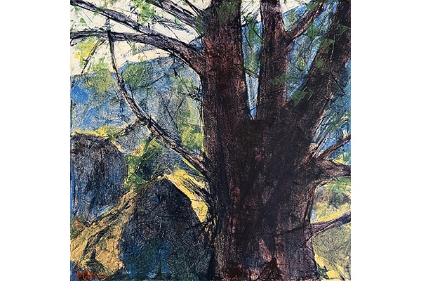 Indigo Shadows — Anne Gibson