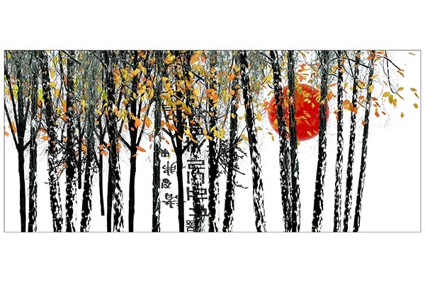 Season of Transition — Dorothy Freudenberg