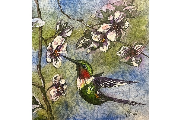 Sweet Nectar — Helen Brown