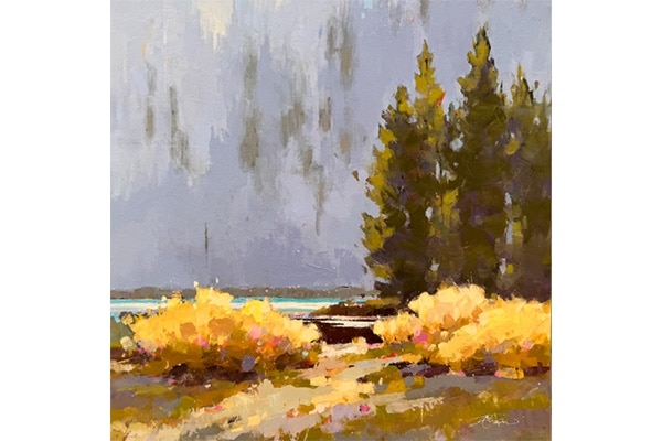 Willow Glory — Devil’s Lake — Sarah B. Hansen