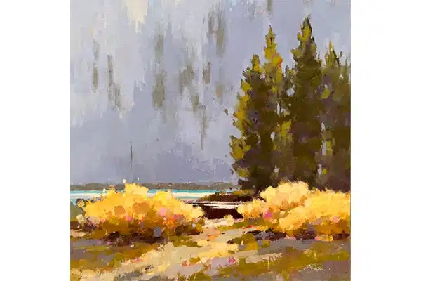Willow Glory — Devil’s Lake — Sarah B. Hansen