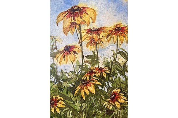 Wild and Free — Helen Brown