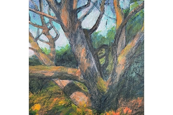 Dappled Sunlight — Anne Gibson