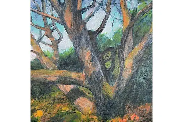 Dappled Sunlight — Anne Gibson