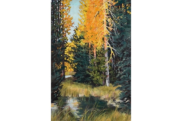 Light Show — Susan Luckey Higdon