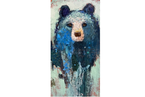 Do Not Feed the Bears — Shelli Walters