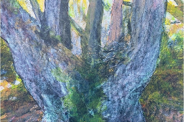 Whose Nest — Anne Gibson