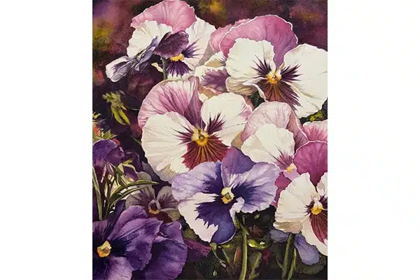 Pansy Blooms — Annie Ferder