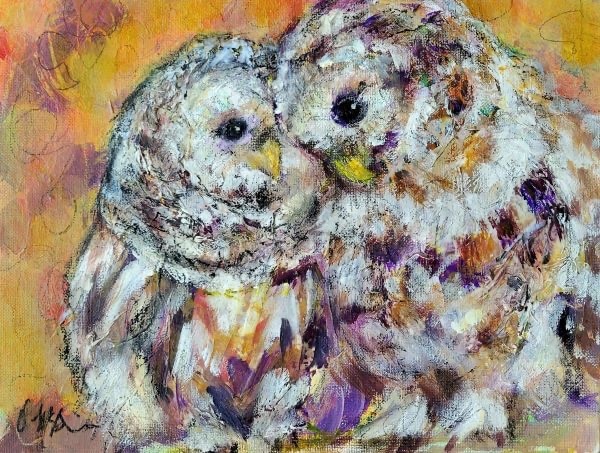 Junior Barred Owls – Dee McBrien-Lee