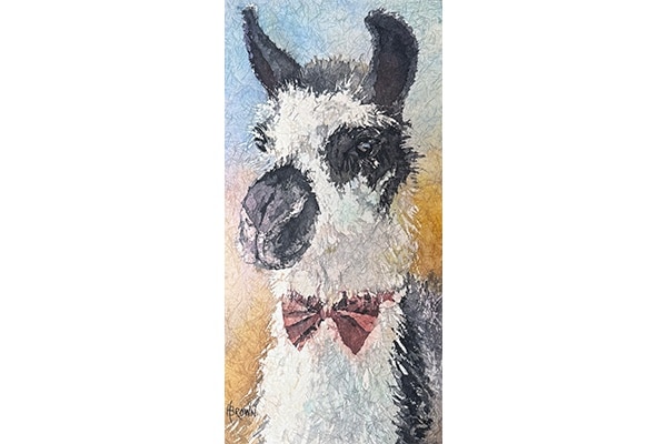 Yogi the Llama — Helen Brown