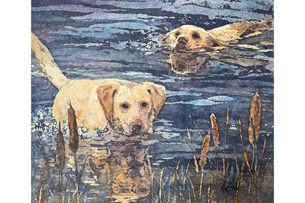 Swim Team — Helen Brown