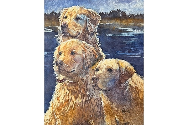 The Goldens Rule — Helen Brown