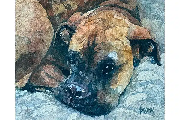 Ellie — Helen Brown